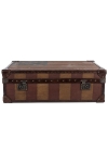 Watson Medium Trunk