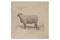 cushion "Sheep", square