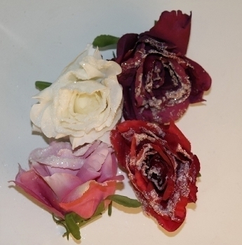 4er Set Rose  gefrostet mit Clip