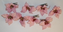 8er Set Christstern gefrostet mit Clip Rosa