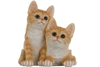 Katzenkinder "Ernie+Bert" Scharz & Weiß