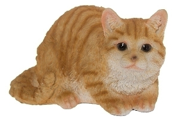 Katze "Lulu" gelb/weiß getigert B