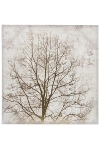 Bild "Treesamo" Golddruck Baum A 80/80