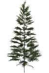 Tannenbaum mit Metallständer, ca. 751 Tannenäste