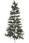 Tannenbaum mattgrün mit Metallständer,